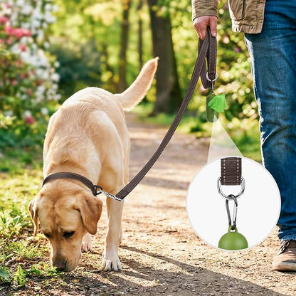 Joytale Double-Sided Reflective Dog Leash, 4 FT, Padded Handle Nylon Heavy Duty Leashes for Small & Medium Dogs Walking, Brown