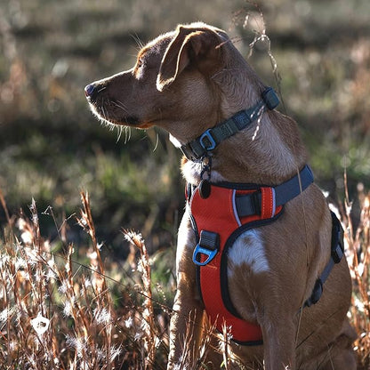 Embark Adventure No-Pull XL Dog Harness for Extra Large Dogs – Reflective Trim, Military-Grade Nylon, Dual Leash Clips, Gel-Lined Handle