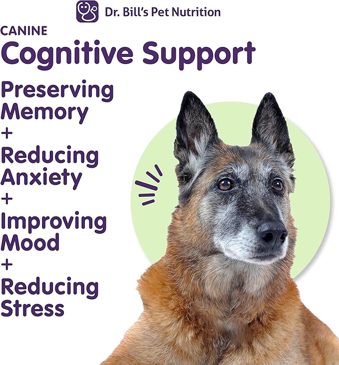 Dr. Bill’s Canine Cognitive Support Supplement for Adult, Senior & Elderly Dogs – Memory, Brain Function & Cognitive Health Support - Lion's Mane Mushrooms, DHA, Ginkgo & More