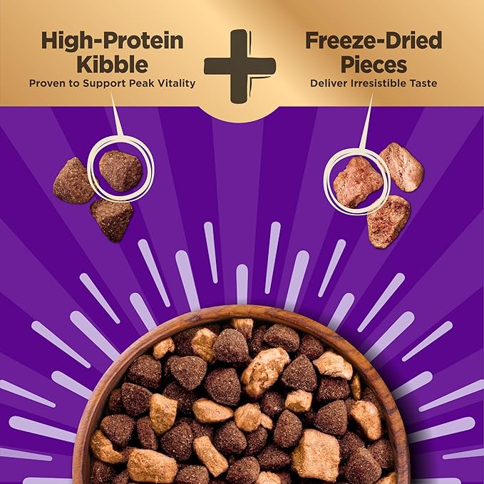 Wellness CORE+ Adult Dry Dog Food with Freeze Dried Pieces, Wholesome Grain Kibble+, Natural, High Protein, Beef and Barley Recipe, 4 lb Bag