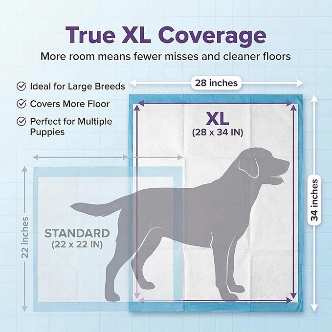 BV Puppy Pads XL 40 Count 34"x28" - Leak-Proof Pee Pads for Dogs with 6-Layer Design, Rapid Dry Sheet & Attractant - Dog Pad Extra Large with Odor Control - Perfect for Big Dogs & Indoor Use