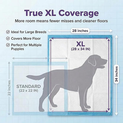BV Puppy Pads XL 40 Count 34"x28" - Leak-Proof Pee Pads for Dogs with 6-Layer Design, Rapid Dry Sheet & Attractant - Dog Pad Extra Large with Odor Control - Perfect for Big Dogs & Indoor Use