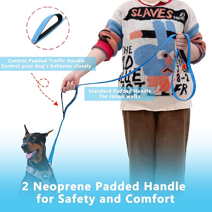 Dog Leash 5ft Long, Double Handle Dog Leash for Safety Control Training, Heavy Duty Dog Leads with Traffic Padded Handles, Reflective Leashes for Small Medium Large Dogs(5ft, Sky Blue)