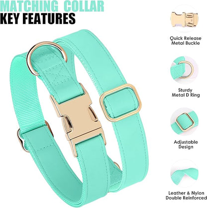 PET ARTIST Soft PU Leather Dog Collar and Leash Set, Bright & Stylish 5FT PU Leather Leash and Collar Set, Durable Pet Collars with Quick Release Metal Buckle for Small Dogs,Mint Green,S(9"-14")