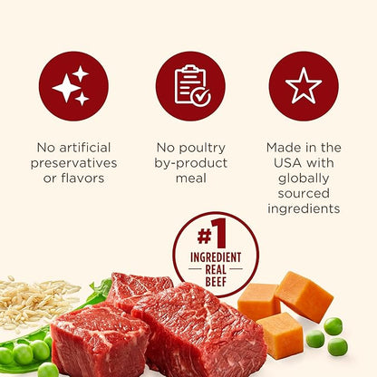 Nutrish Real Beef & Pumpkin Recipe Whole Health Blend Premium Paté Wet Dog Food,13 oz. Can,Packaging May Vary (Rachael Ray),(Pack of 24)