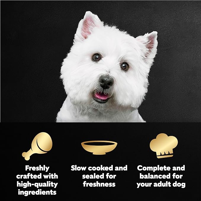 Cesar Filets in Gravy Wet Dog Food Filet Mignon Flavor and Rotisserie Chicken Flavor Variety Pack,Wet Food for Dogs,1.76 oz. Mini-Pouches,20 Count (Pack of 4)
