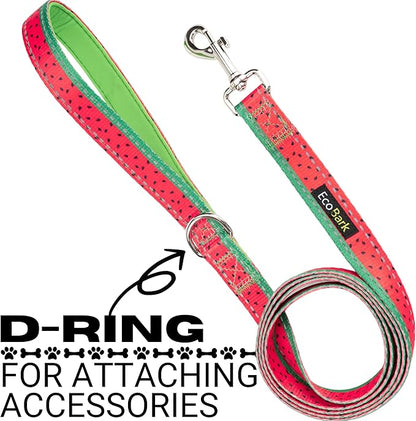 EcoBark Dog Leash - Soft & Reflective Comfort Leash with Padded Handle - Safe, Strong, & Durable for Small, Medium or Large Dogs (Watermelon)