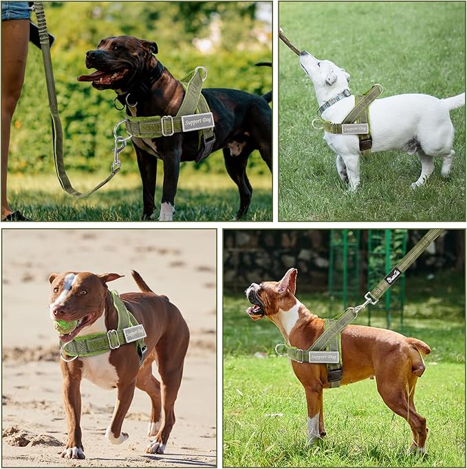 SlowTon No Pull Dog Harness - Heavy Duty Dog Harness and Leash Set for Medium Large Dogs, Reflective Tactical Harness with Soft Padded and Front Clip for Easy Walk and Training (GR, L)