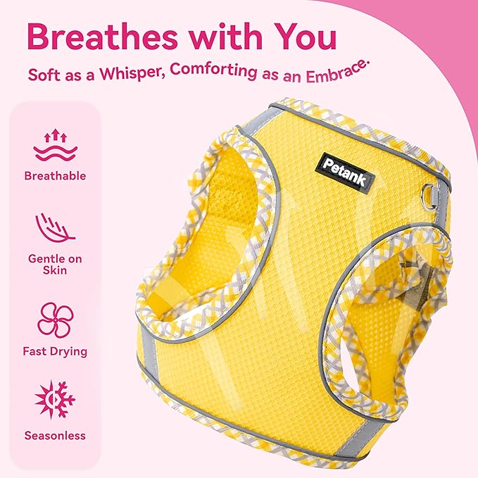 Petank Dog Harness for Small Medium Dogs No Pull, Puppy Harness and Leash Set for Walking, Running, Training, Small Dog Harness, Medium Dog Harness (Yellow, XXS)