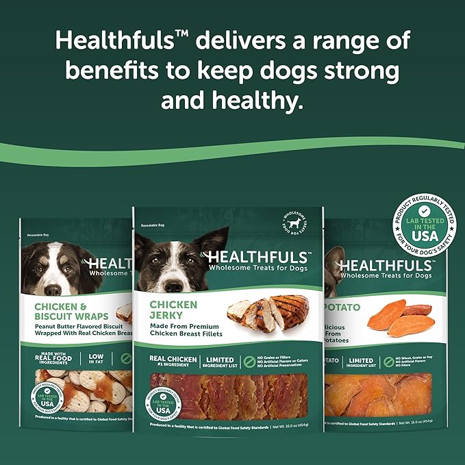 Healthfuls Chicken Jerky Dog Treats, 16oz