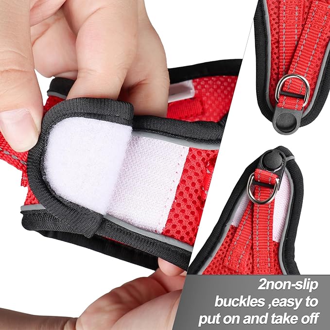 Dog Harness for Small Dogs and Leash Set, Honeycomb Grid, Reflective Lightweight Harness & Anti-Twist Pet Lead Multi Color, Size: XS-S-M. (XS, Black & Red)