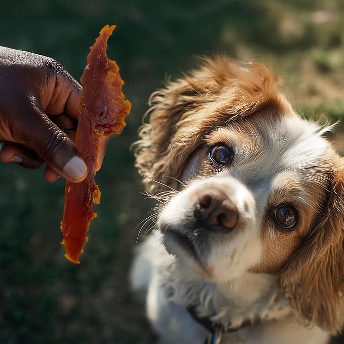 Pet 'n Shape Duck Breast Jerky Dog Treats - 16 Ounce