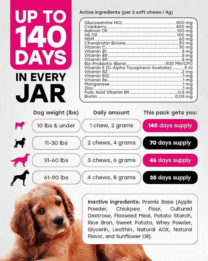 24-in-1 Daily Multivitamin Dog Chews – Joint, Skin & Coat, Digestion & Immunity Support – Glucosamine, Omega-3, Probiotics for Gut Health – PhD-Endorsed, 140 Chews, Beef Flavor