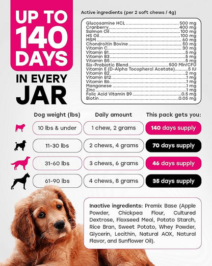 24-in-1 Daily Multivitamin Dog Chews – Joint, Skin & Coat, Digestion & Immunity Support – Glucosamine, Omega-3, Probiotics for Gut Health – PhD-Endorsed, 140 Chews, Beef Flavor