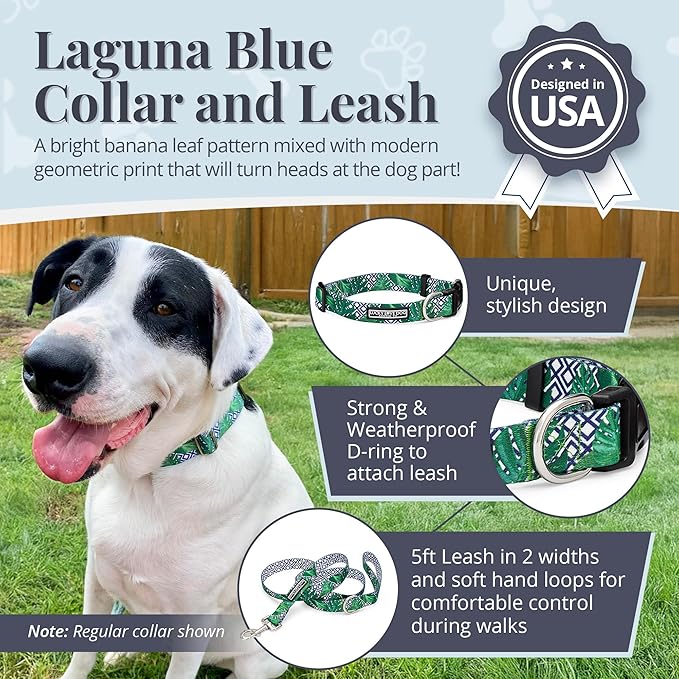 Lucky Love Dog Collar and Leash Set, Beautiful & Vivid Patterns, Easy On & Off Clasp Accessory (Blue Laguna, XS Combo)