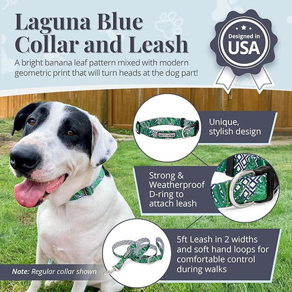 Lucky Love Dog Collar and Leash Set, Beautiful & Vivid Patterns, Easy On & Off Clasp Accessory (Blue Laguna, XS Combo)