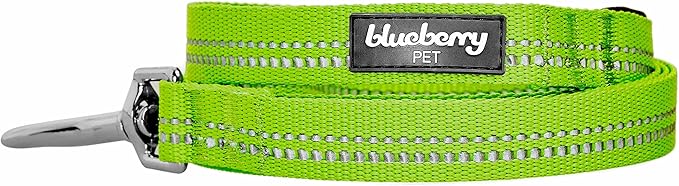 Blueberry Pet 3M Reflective Pastel Color Dog Leash with Soft & Comfortable Handle, 5 ft x 5/8", Green Flash, Small, Leashes for Dogs
