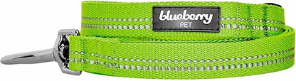 Blueberry Pet 3M Reflective Pastel Color Dog Leash with Soft & Comfortable Handle, 5 ft x 5/8", Green Flash, Small, Leashes for Dogs