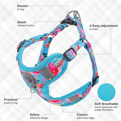 BEAUTYZOO Step in Dog Harness Collar and Leash Set for Small Medium Large Dogs, No Pull No Choke Puppy Harness, Soft Mesh Reflective Pet Padded Vest Adjustable for Doggie Girl or Boy,French Bulldog