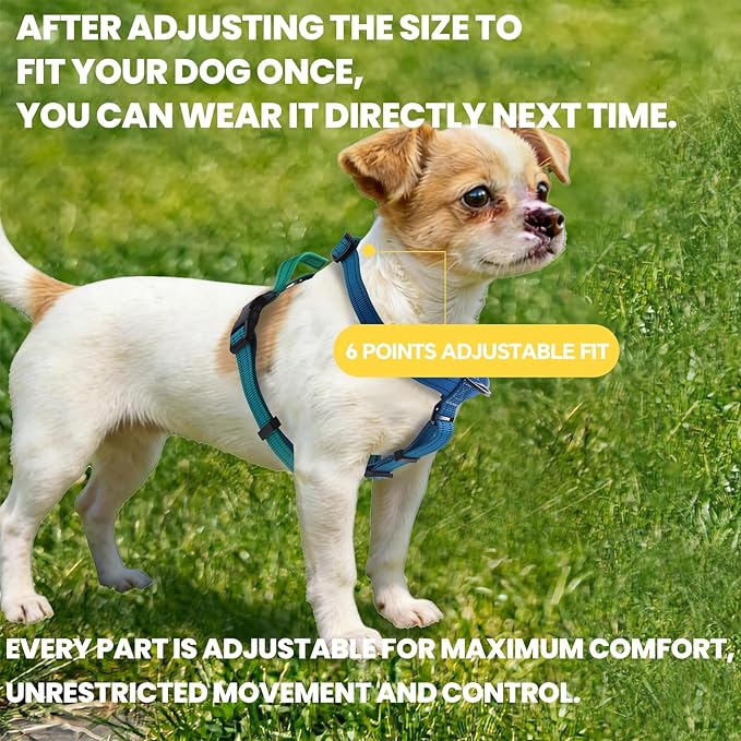 Roses&Poetry Dog Harness Small Sized Dog, 6 Point Adjustable Fit No Pull Harness with Handle for Control and Easy Walking, Reflective Pet Halter Harnesses（Bluegreen-S）