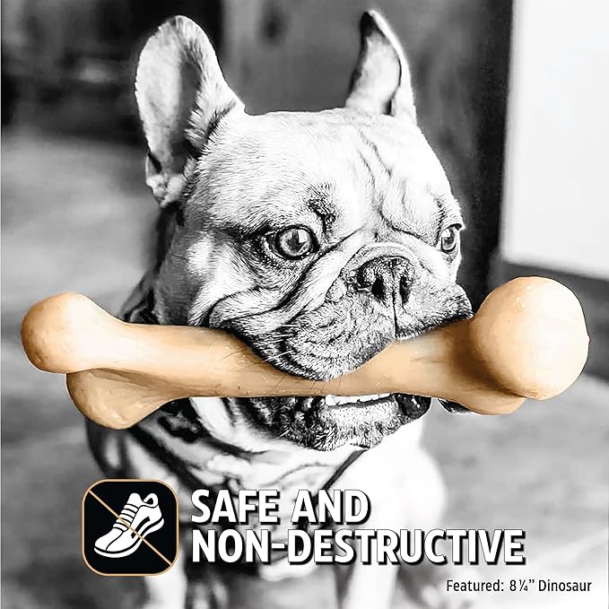 Pet Qwerks Dinosaur BarkBone - Nylon Dog Bone for Aggressive Chewers - Bacon Flavor - 9.75"