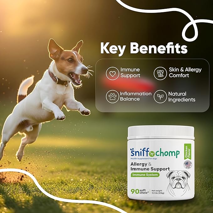 SNIFF N CHOMP Dog Allergy Chews, Chicken Flavor, Probiotics for Dogs with Quercetin Omega 3 Zinc, Seasonal Allergy Relief, Immune Support Soft Chews, Probióticos para Perros | 90 Soft Chews