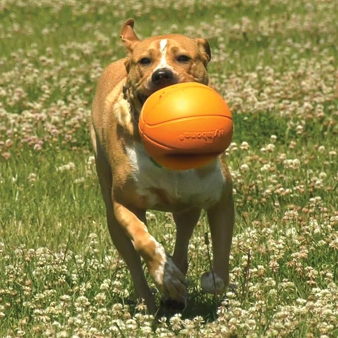 Nylabone Power Play Gripz Felt Basketball Rubber Fetch Toy, Squeaky Ball for Dogs, Medium (1 Count)