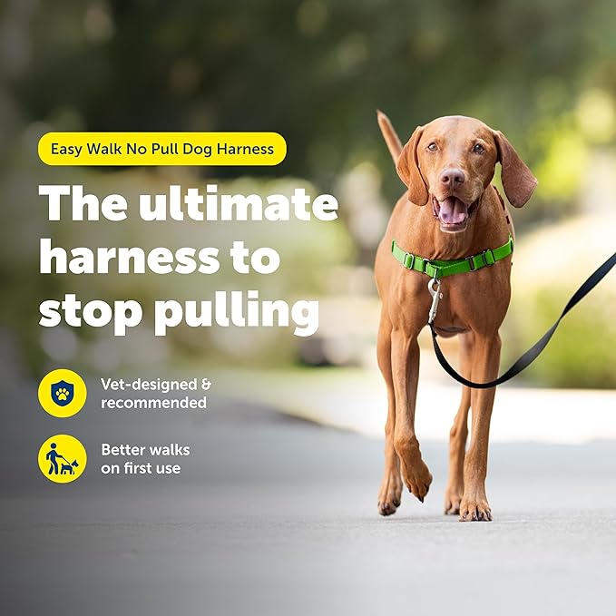 PetSafe Easy Walk No-Pull Dog Harness - The Ultimate Harness to Help Stop Pulling - Take Control & Teach Better Leash Manners - Helps Prevent Pets Pulling on Walks, Medium, Apple Green/Gray