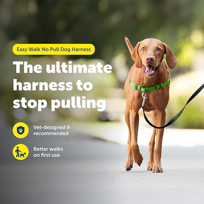 PetSafe Easy Walk No-Pull Dog Harness - The Ultimate Harness to Help Stop Pulling - Take Control & Teach Better Leash Manners - Helps Prevent Pets Pulling on Walks, Medium, Apple Green/Gray
