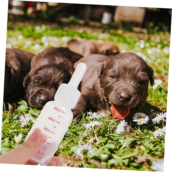 3pcs Pet Milk Bottle Kit Plastic Feeding Bottles for Nursing Puppies Kittens Portable Easy to Clean