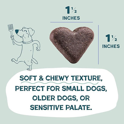 Shameless Pets Soft-Baked Dog Treats, Blueberried Treasure - Natural & Healthy Dog Chews with Mint for Immune Support - Made in USA, Free from Grain, Corn & Soy - 1-Pack