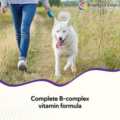 Breeder's Edge B Strong Liquid, Vitamin B for Dogs and Cats, Supports Canine and Feline Reproductive Health, Promotes Healthy Heat Cycles, Provides Energy, and Stimulates Appetite, 32 oz