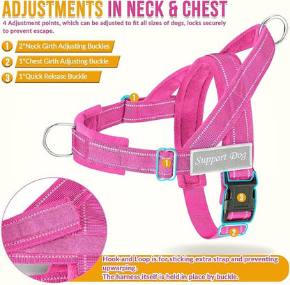 SlowTon No Pull Dog Harness - Heavy Duty Dog Harness and Leash Set for Medium Large Dogs, Reflective Tactical Harness with Soft Padded and Front Clip for Easy Walk and Training (FU, S)