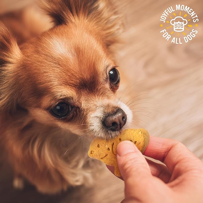 Blue Dog Bakery More Crunch Small Chicken Treats, Dog Biscuits for All Breeds, Healthy Treats, All Natural, 5 lb Box (Pack of 1)