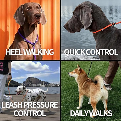 Dog Anti-Slip Leash 5FT with Metal Stopper - Durable No-Pull Training Lead for Small, Medium & Large Dogs - Comfortable Handle Nylon Rope, Tangle-Free Pet Walking Leash (Gray, 5 FT)