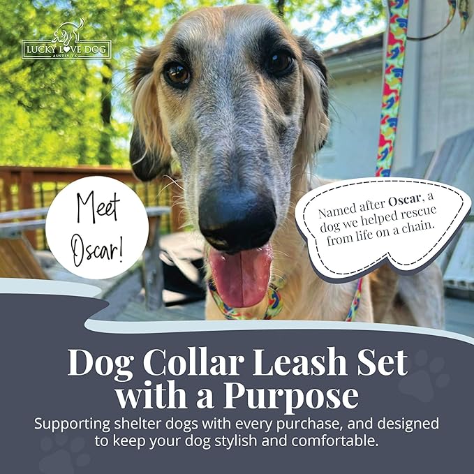 Lucky Love Dog Martingale Dog Collar & Leash - Adjustable, No-Slip, Durable, Comfortable, Soft Webbing, & Stylish Patterned Collar & Leash Set for Male and Female Dogs - Oscar Combo, Small