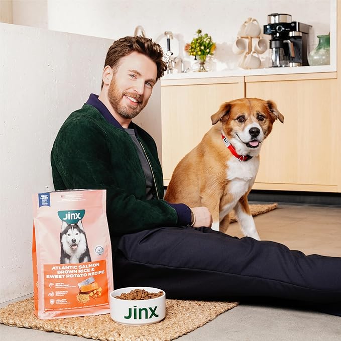 Jinx Premium Dry Dog Food, for All Lifestages - Real Chicken, Brown Rice & Sweet Potato Kibble with Superfoods for Immune Support & Probiotics for Digestive Support - No Fillers - 11.5lb