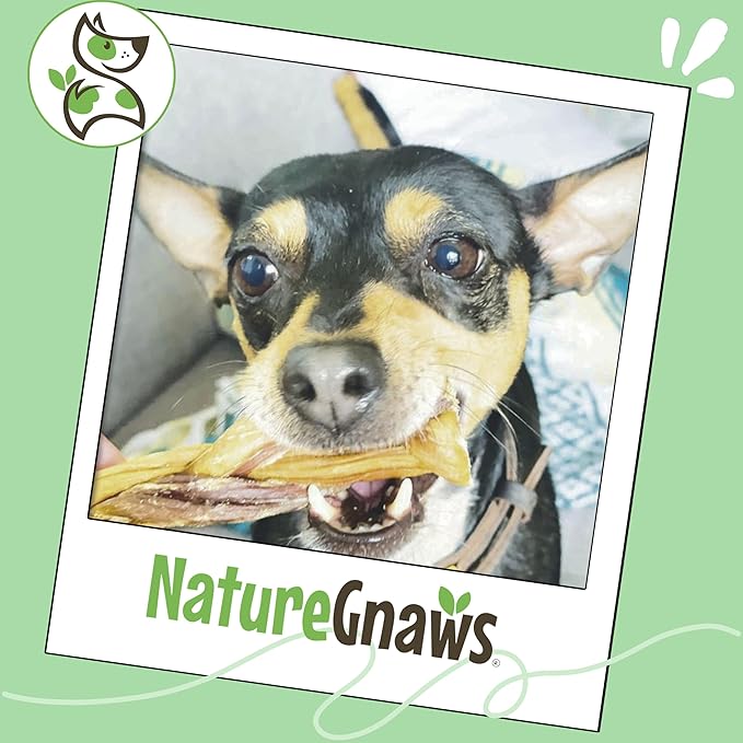Nature Gnaws Braided Gnaws for Dogs 5-6" (3 Count) - Long Lasting for Small and Medium Dogs - Natural Beef Bully Stick Combo Braids - Rawhide Free