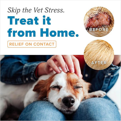 TropiClean HomeVet Medicated Cream, Hot Spot Treatment for Dogs, Fast Itch Relief, with Vet Strength Chlorhexidine & Hydrocortisone, USA Made, 1 oz