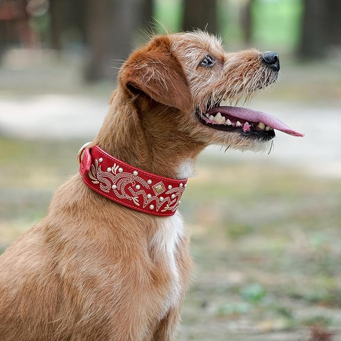 Blueberry Pet Western Leather Dog Collar - Genuine Leather with Floral Embroidery & Pearl Studs, Adjustable 18-22 Inch Neck for Large Dogs, Comfortable and Stylish Pet Collar
