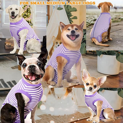 Dog Recovery Suit Female Spay Male Surgery Recovery X-Large Shirt,Soft Combed Cotton Puppy Suit,XL Purple-White Striped