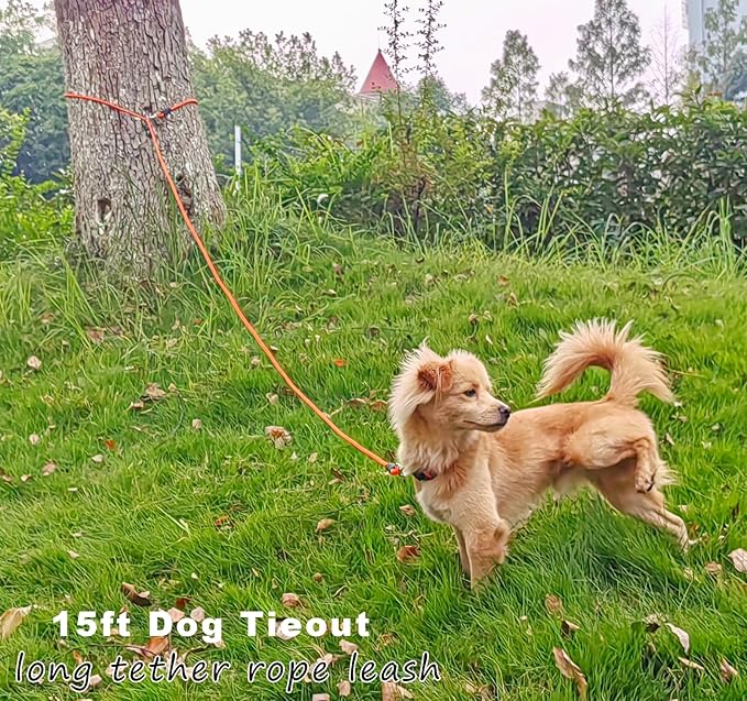 15FT Tie Out Rope Dog Lead, 20ft 30ft 50ft 65ft Long Dog Tether Nylon Check Cord for Medium Large Dogs Outdoor Camping Backyard of Leash Training Tie Down (Orange, 3/8")