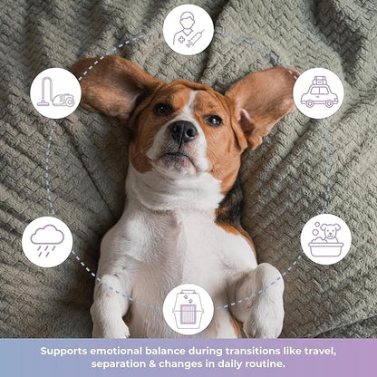 Tranquillium Canine Calming Chews from
