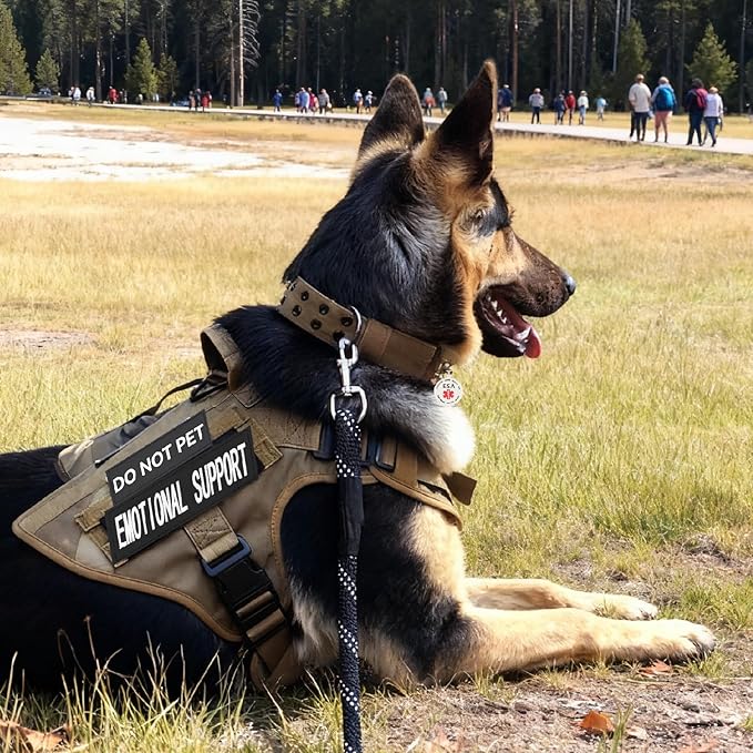 Emotional Support Dog Patches 2 pcs, Emotional Animal ESA ID Tag, Easily Attach to Collar, Harness (M)