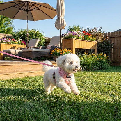 No Pull Dog Harness and Leash Set-Reflective Plaid Design, Adjustable & Comfortable with Front D Ring for Small Medium Dogs (S, Pink Plaid)
