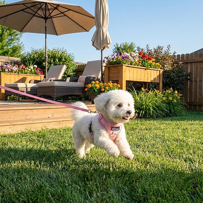 No Pull Dog Harness and Leash Set-Reflective Plaid Design, Adjustable & Comfortable with Front D Ring for Small Medium Dogs (M, Pink Plaid)