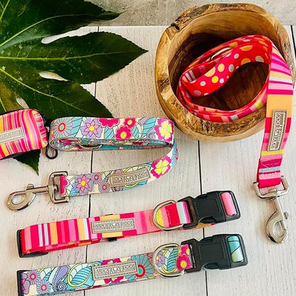 Lucky Love Dog - Easy Click Buckle Dog Collar with Leash Set Combo, Durable & Comfortable for Male & Female Dogs, Pet Collar for Small Dogs, Secure Fit - Molly Combo, Small