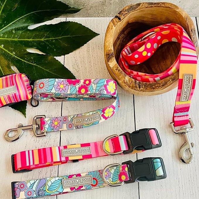 Lucky Love Dog - Easy Click Buckle Dog Collar with Leash Set Combo, Durable & Comfortable for Male & Female Dogs, Pet Collar for Small Dogs, Secure Fit - Molly Combo, Extra Small