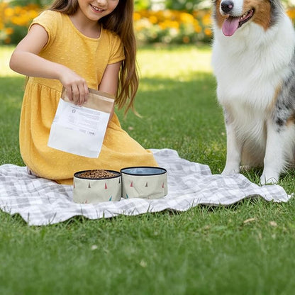 OllyDog Superbowl | Collapsible Dog Travel Bowl | 2 Compartment Food & Water | Foldable| Portable Dog Bowl | Hiking, Camping (Terrazzo)