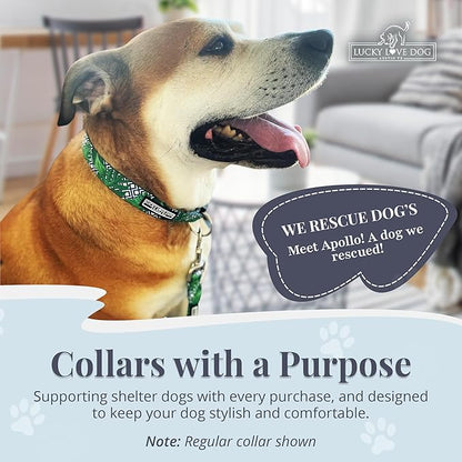 Lucky Love Dog Collar, Beautiful & Vivid Pattern Small Boy Dog Collars, Easy On & Off Clasp Accessory (Blue Laguna, S)